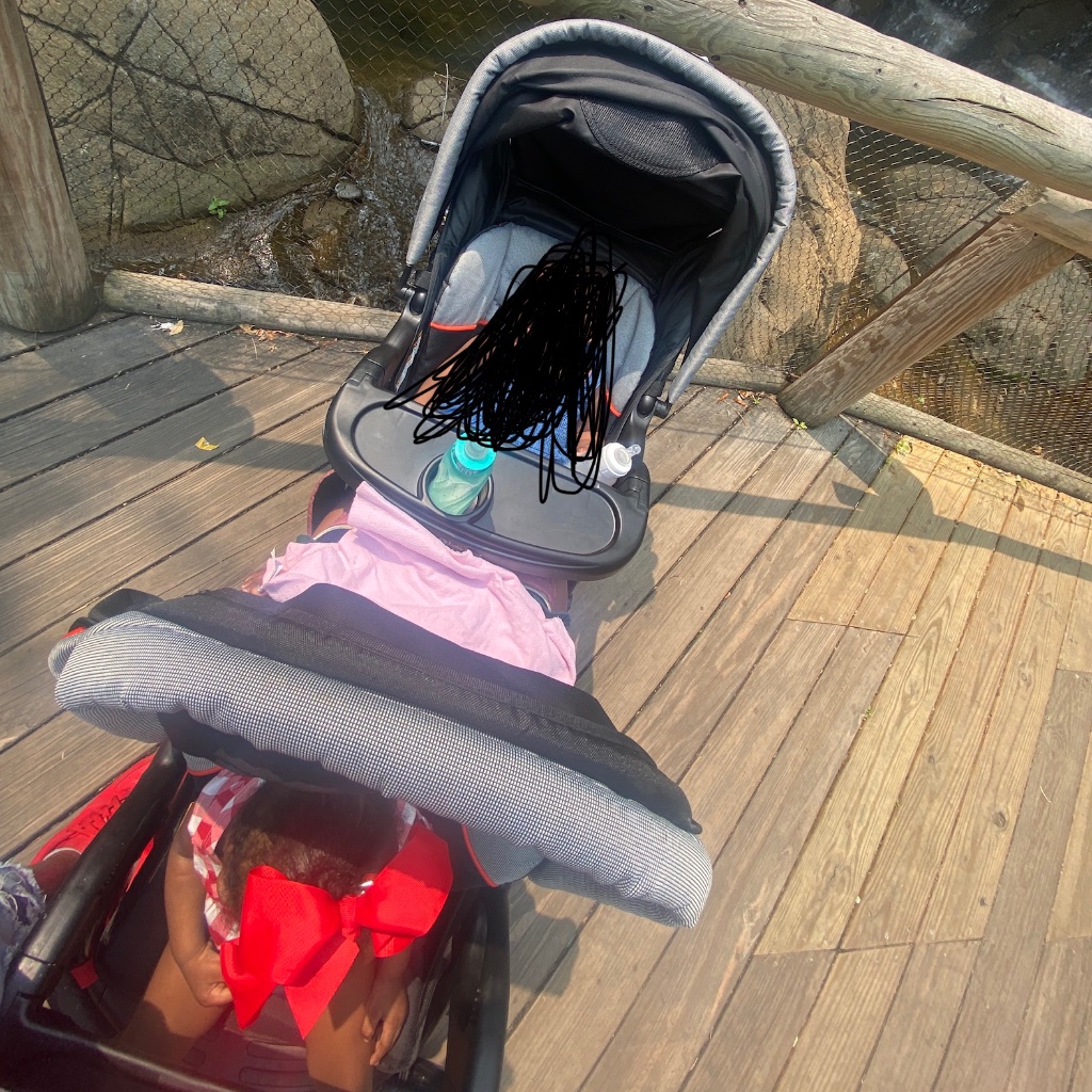 Double Stroller